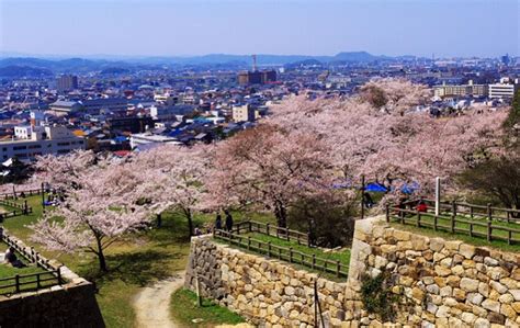 大阪から鳥取 バス ー 時空を超える旅の可能性